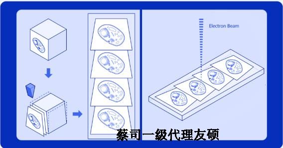 静安蔡司静安扫描电镜
