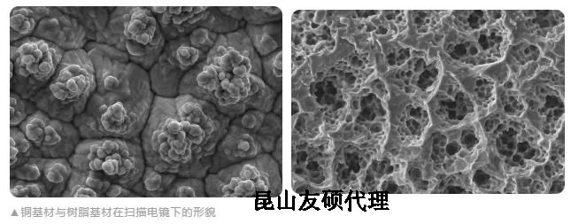 静安蔡司静安扫描电镜