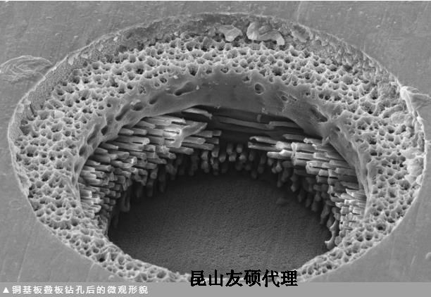 静安蔡司静安扫描电镜